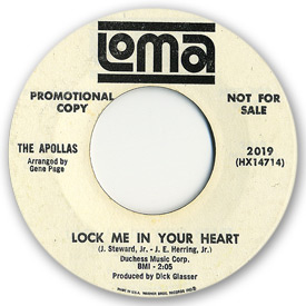 Loma 2019 - The Apollas - Lock me in your heart